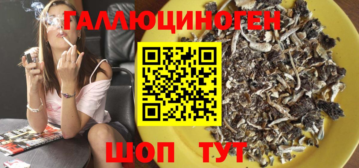 Галлюциногенные грибы MAGIC MUSHROOMS  сколько стоит  Богородицк  Вход с VPN 