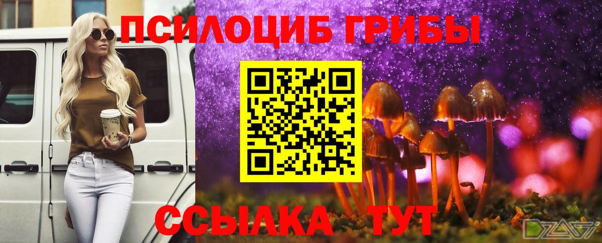 Галлюциногенные грибы мицелий Богородицк
