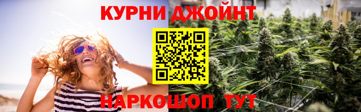 Каннабис OG Kush Богородицк